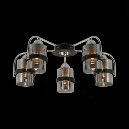 Накладная люстра Evoluce SLE102002-05