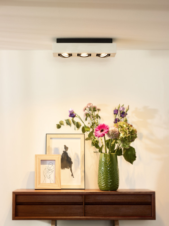 Накладной светильник LUCIDE 09119/16/31