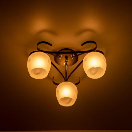 Накладная люстра Citilux CL171134