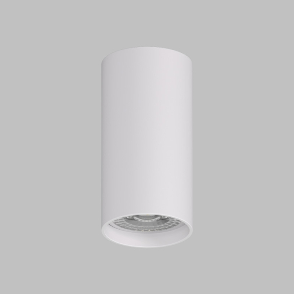 Накладной светильник Denkirs DK2008-WH