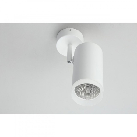 Спот Omnilux OML-102609-20