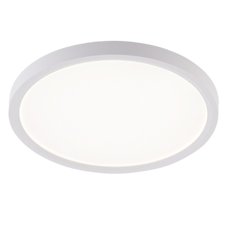 Накладной светильник Natali Kovaltseva LED LAMPS 81113/2C