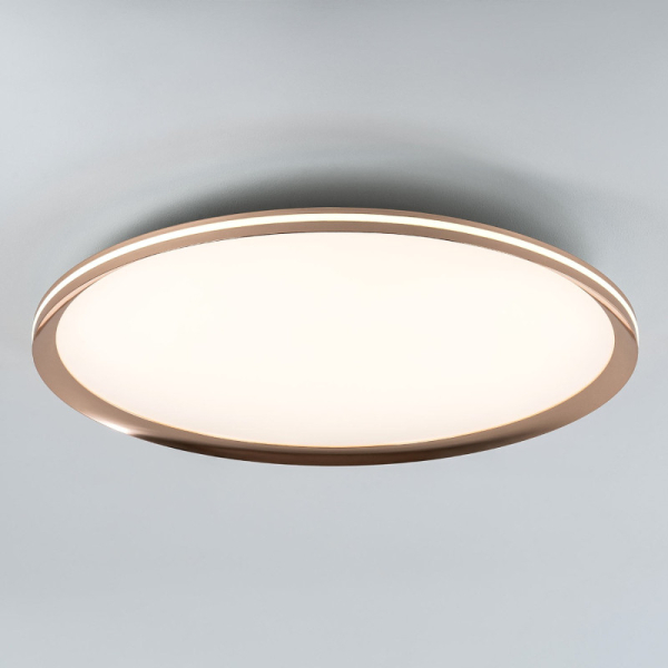 Накладной светильник LED4U L3020-600 GD