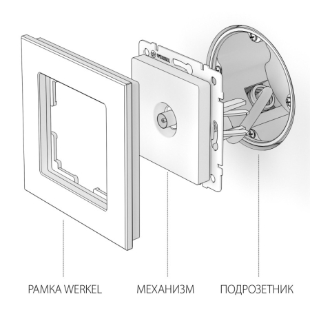 Розетка Werkel W1184006