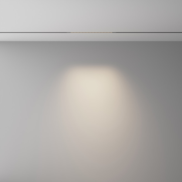 Светильник на шине Maytoni Technical TR241-2-6W4K-B