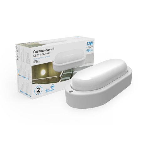 Пылевлагозащищенный светильник Gauss 161411312