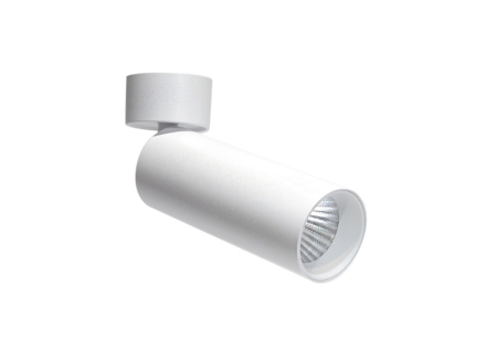 Спот Donolux DL18895R20W1W ST