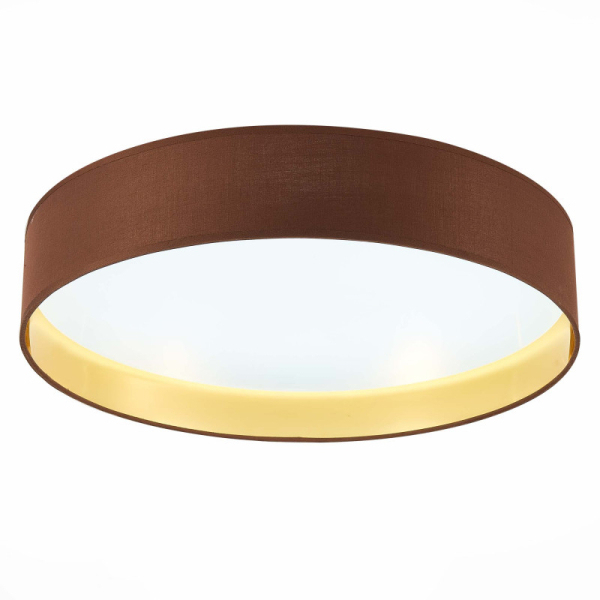 Накладной светильник Evoluce SLE300592-01