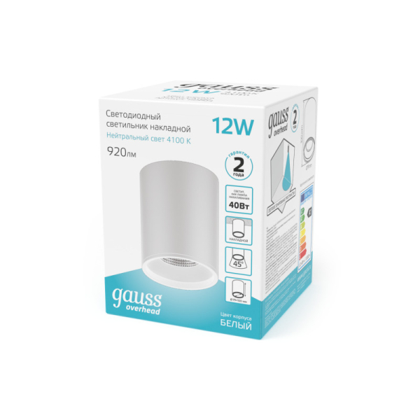 Накладной светильник Gauss HD011