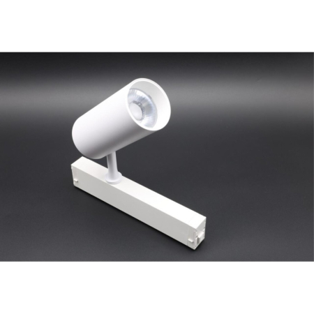 Светильник на шине APLOYT APL.0205.10.20