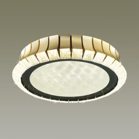 Накладной светильник Odeon Light 4994/75L