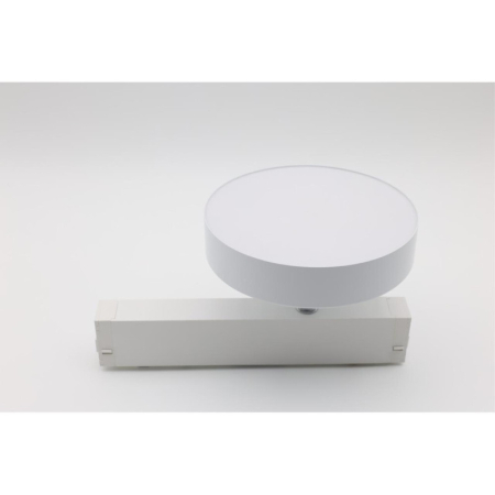 Светильник на шине APLOYT APL.0213.10.24