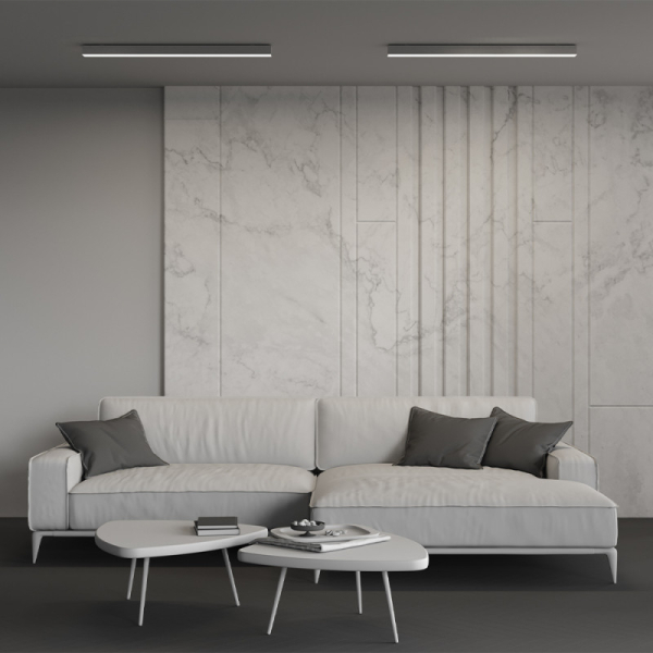 Офисный светильник Maytoni Technical LL311020