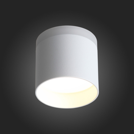 Накладной светильник ST-Luce ST102.502.12