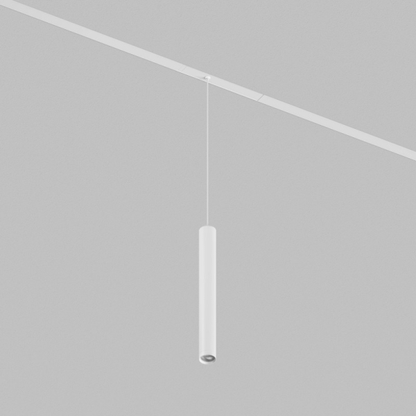 Светильник на шине Denkirs DK8208-WH