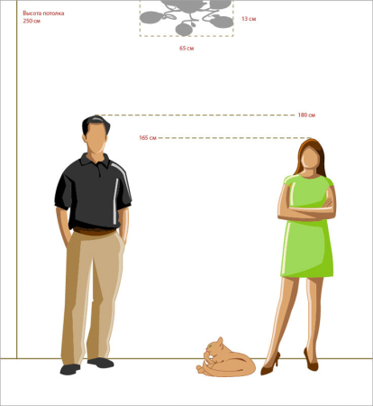 Накладная люстра MW-Light 267011705