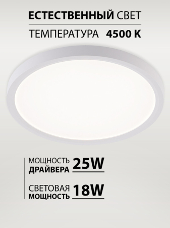 Накладной светильник Natali Kovaltseva LED LAMPS 81113/2C