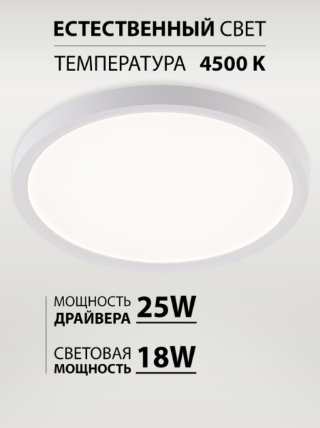 Накладной светильник Natali Kovaltseva LED LAMPS 81113/2C
