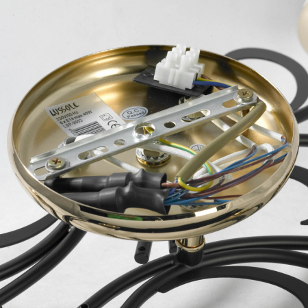 Накладная люстра Lussole LSP-9952