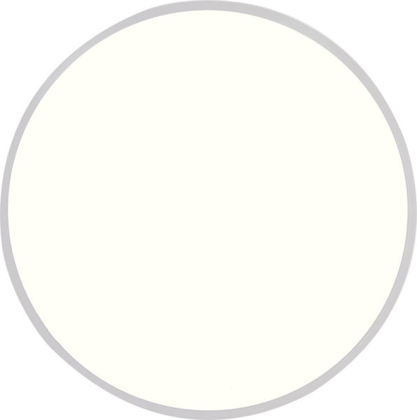 Накладной светильник Natali Kovaltseva LED LAMPS 81111/5C