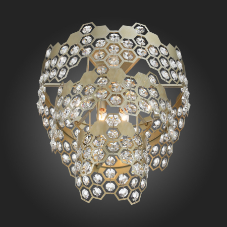 Накладная люстра ST-Luce SL1102.202.05