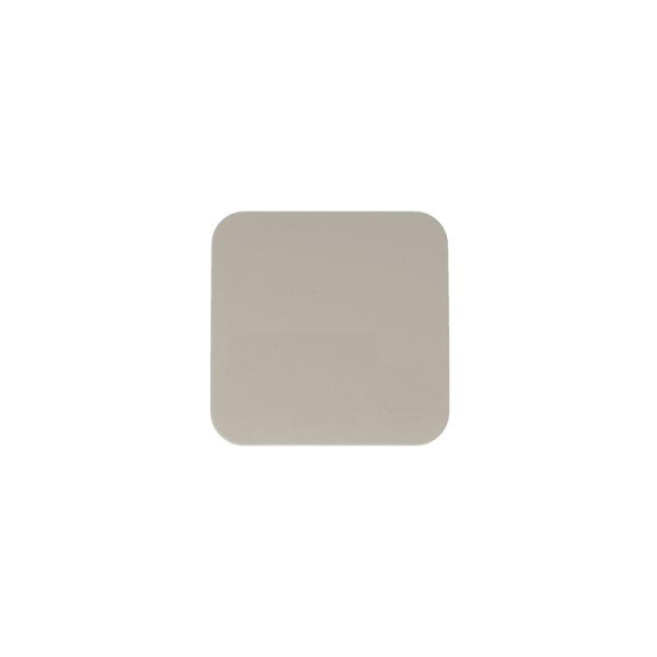 Выключатель 1-кл. ОП Blanca 10А IP20 (сх. 1) 250В с изолир. пластиной беж. SE BLNVA101017