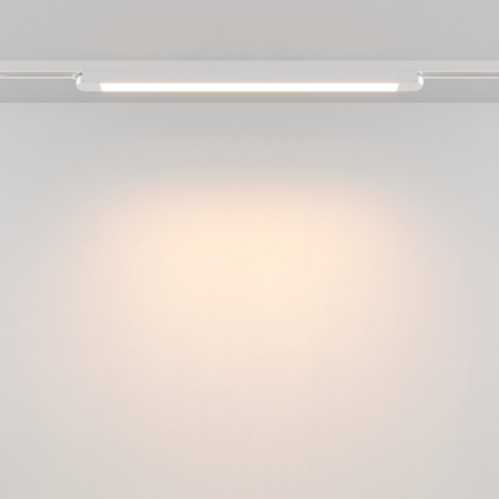 Светильник на шине Maytoni Technical TR000-1-24W3K-W_1