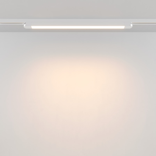 Светильник на шине Maytoni Technical TR000-1-24W3K-W_1