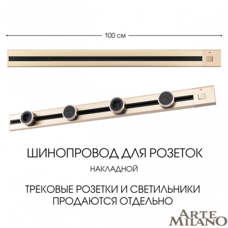 Трековая система розеток Arte Milano 385201TOB/100 Gold