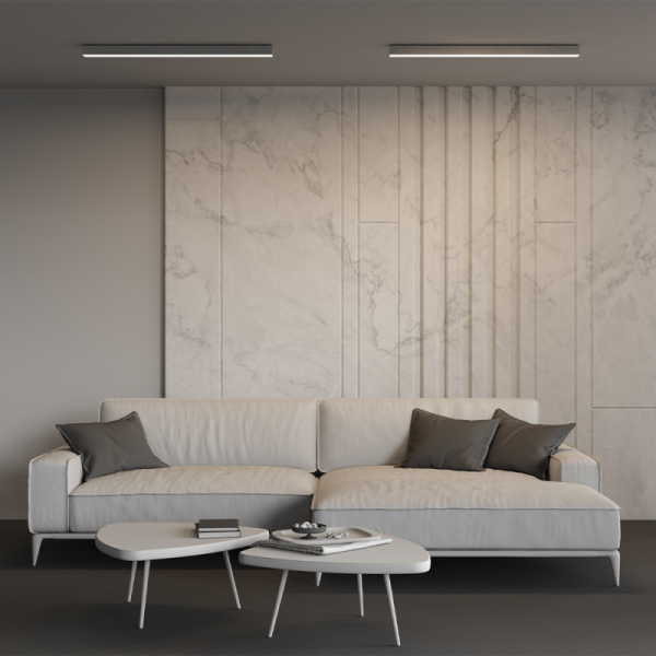 Офисный светильник Maytoni Technical LL311019