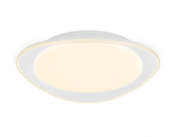 Накладной светильник Ambrella Light FF44