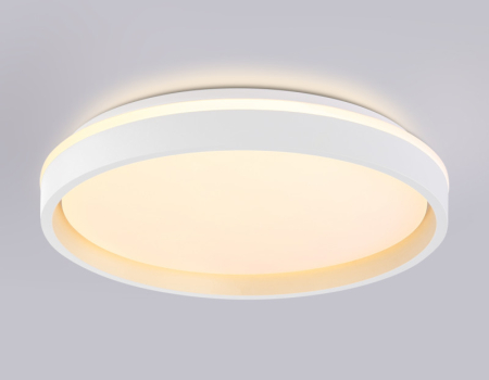 Накладной светильник Ambrella Light FZ607