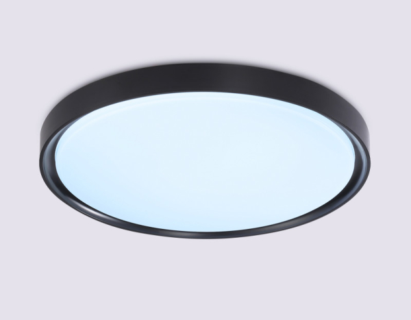 Накладной светильник Ambrella Light FZ1248