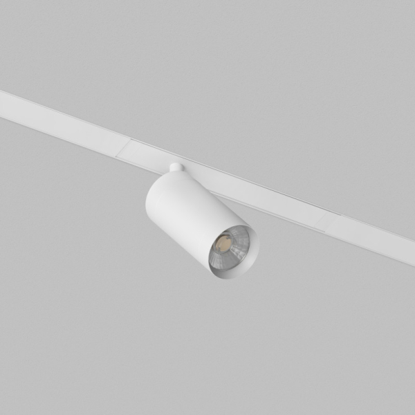 Светильник на шине Denkirs DK8210-WH