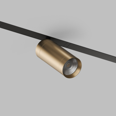 Светильник на шине Denkirs DK8020-BG