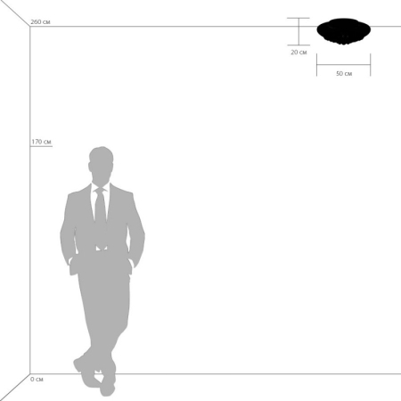 Накладная люстра Lightstar 704094