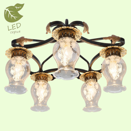 Накладная люстра Lussole GRLSP-0092