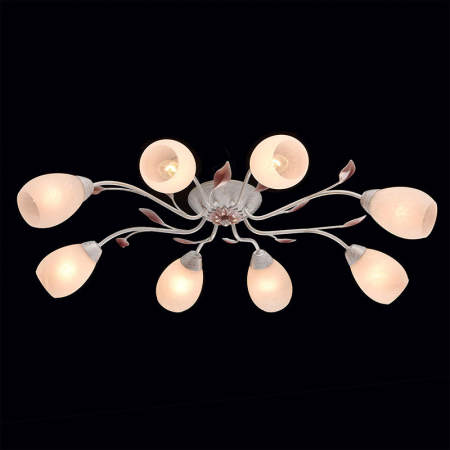 Накладная люстра MW-Light 242016508