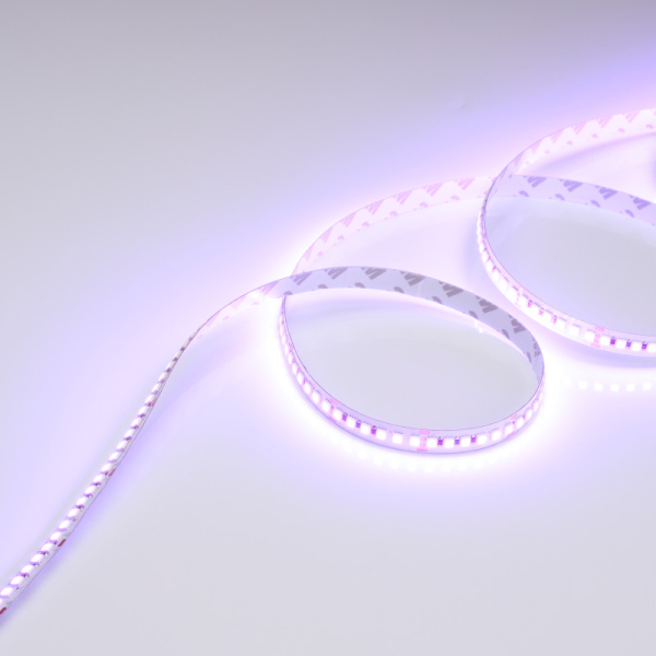 Лента Arlight 028256(2)