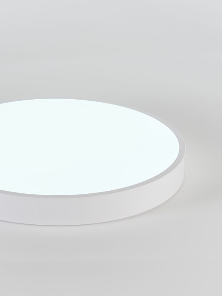 Накладной светильник Natali Kovaltseva LED LAMPS 81112/5C