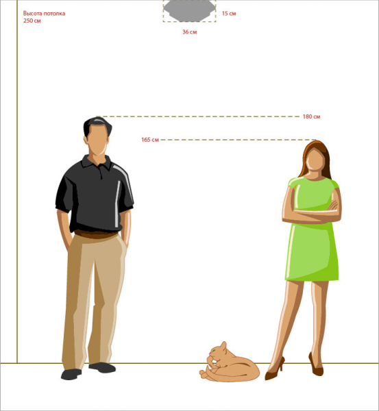 Накладной светильник Chiaro 397010103