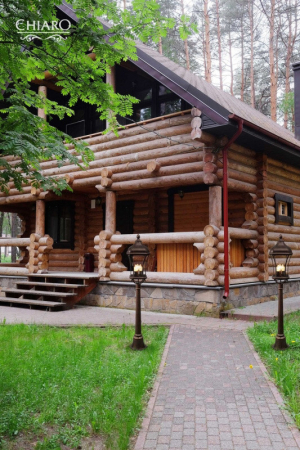 Садово-парковый светильник Chiaro 800040203