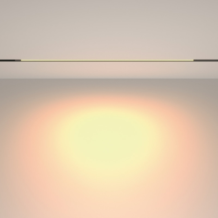 Светильник на шине Maytoni Technical TR231-2-15W3K-B