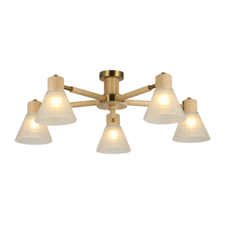 Накладная люстра ARTE Lamp A4096PL-5BR