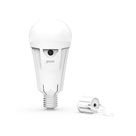 Светодиодная лампа Gauss 102002212