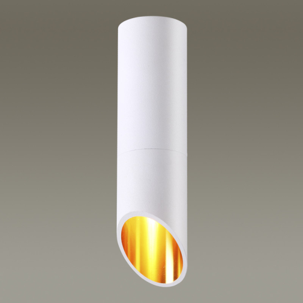 Влагозащищенный светильник Odeon Light 4210/1C