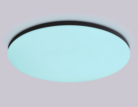 Накладной светильник Ambrella Light FZ2006