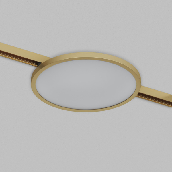 Светильник на шине Denkirs DK5763-SB