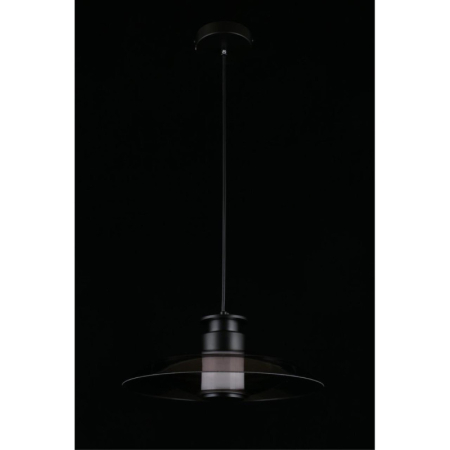 Подвесной светильник APLOYT APL.648.06.10