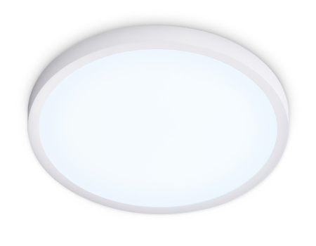 Накладной светильник Ambrella Light FZ1951